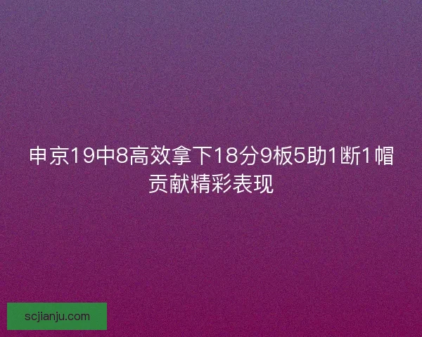 申京19中8高效拿下18分9板5助1断1帽贡献精彩表现