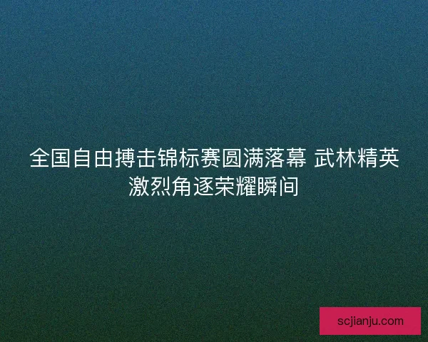 全国自由搏击锦标赛圆满落幕 武林精英激烈角逐荣耀瞬间