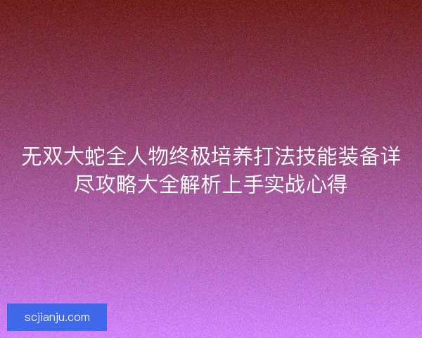 无双大蛇全人物终极培养打法技能装备详尽攻略大全解析上手实战心得