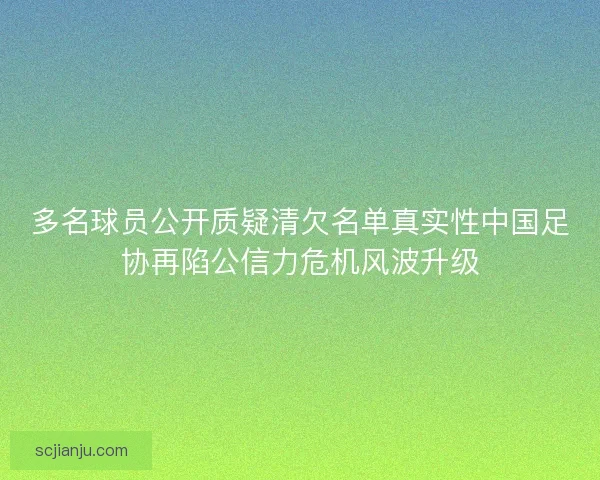 多名球员公开质疑清欠名单真实性中国足协再陷公信力危机风波升级