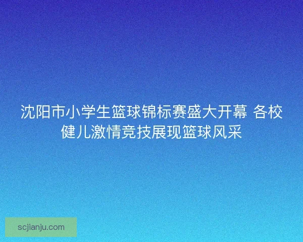 沈阳市小学生篮球锦标赛盛大开幕 各校健儿激情竞技展现篮球风采 沈阳市小学生篮球锦标赛盛大开幕 各校健儿激情竞技展现篮球风采