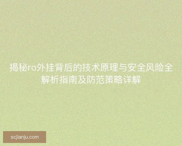 揭秘ro外挂背后的技术原理与安全风险全解析指南及防范策略详解