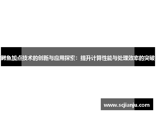 鳄鱼加点技术的创新与应用探索：提升计算性能与处理效率的突破